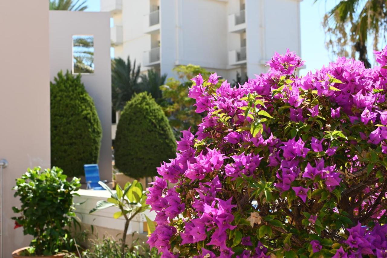 Отдыхайте С Удовольствием Paphos Extérieur photo